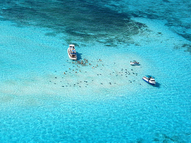 Saiba como é nadar com arraias em Stingray City, nas Ilhas Cayman