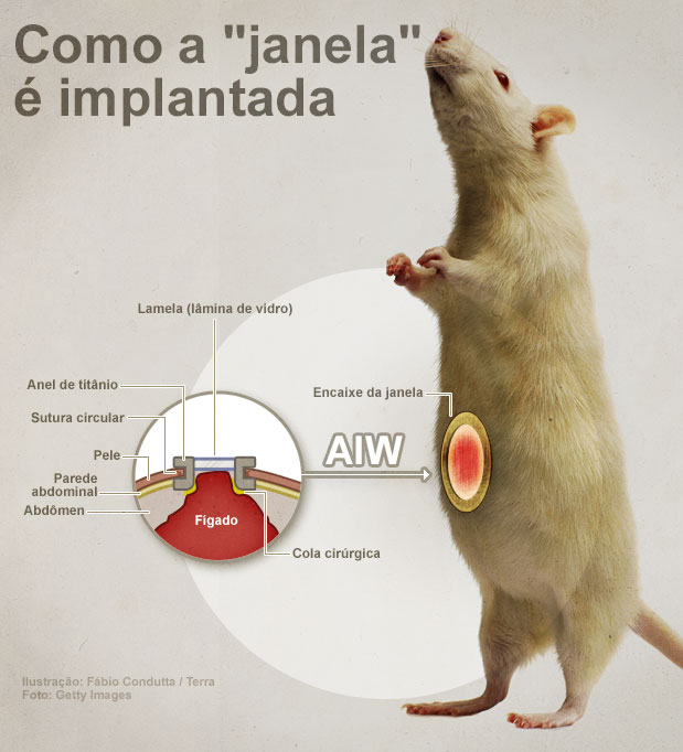 AIW - Como a janela é implantada