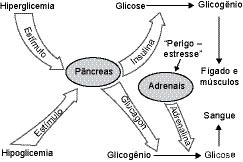 10_bio_fig_01.eps