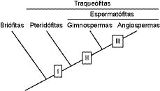 16_bio_fig_01.eps