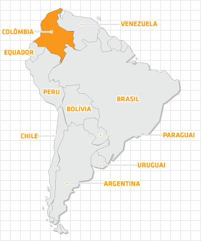 Forças Armadas na América do Sul