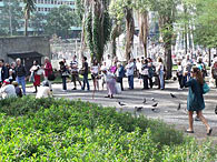 Foto: José Carlos Pereira de Carvalho/vc repórter