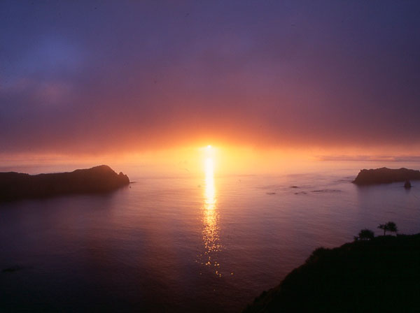 Foto: Ogasawara Islands/Divulgação