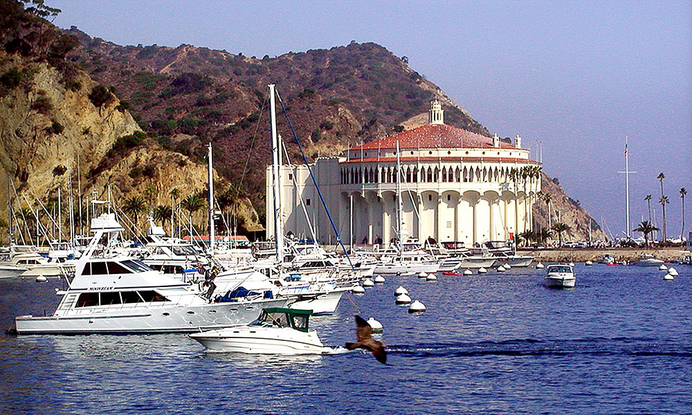 Foto: Catalina Island, California