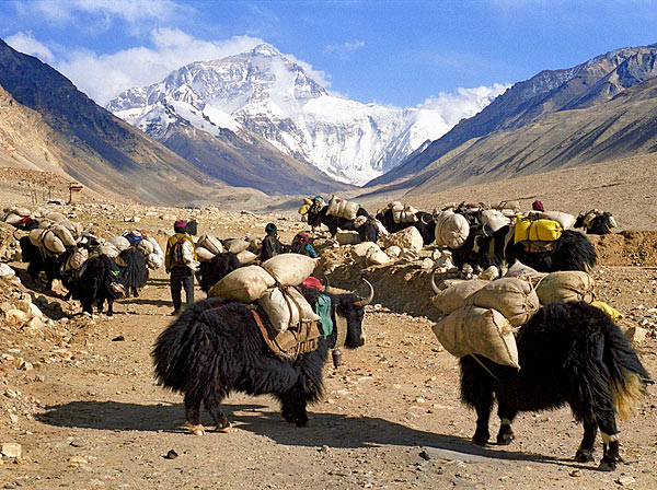 Foto: Monte Everest (China)